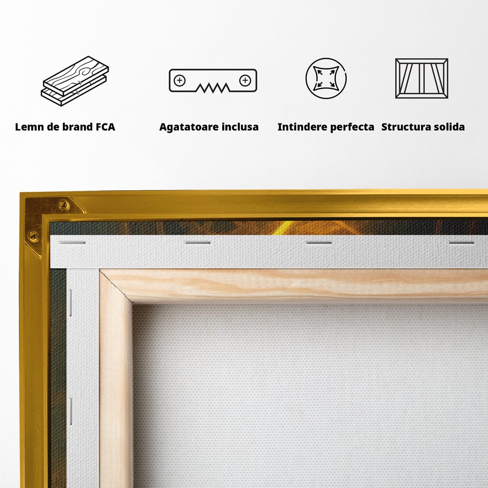 Spatele produsului, cu sasiu din lemn, capse metalice si agatatoare